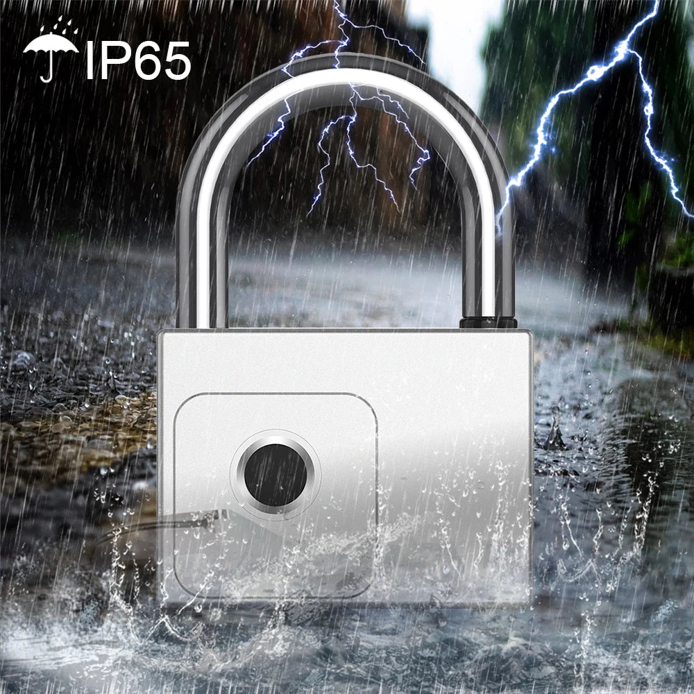 RAYKUBE Tuya Smart Fingerprint Padlock - Waterproof, USB Charging, Quick Unlock Sensor, P70/P55/PQ1 Models